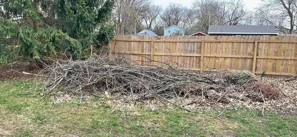 Brush & Debris Clean Up